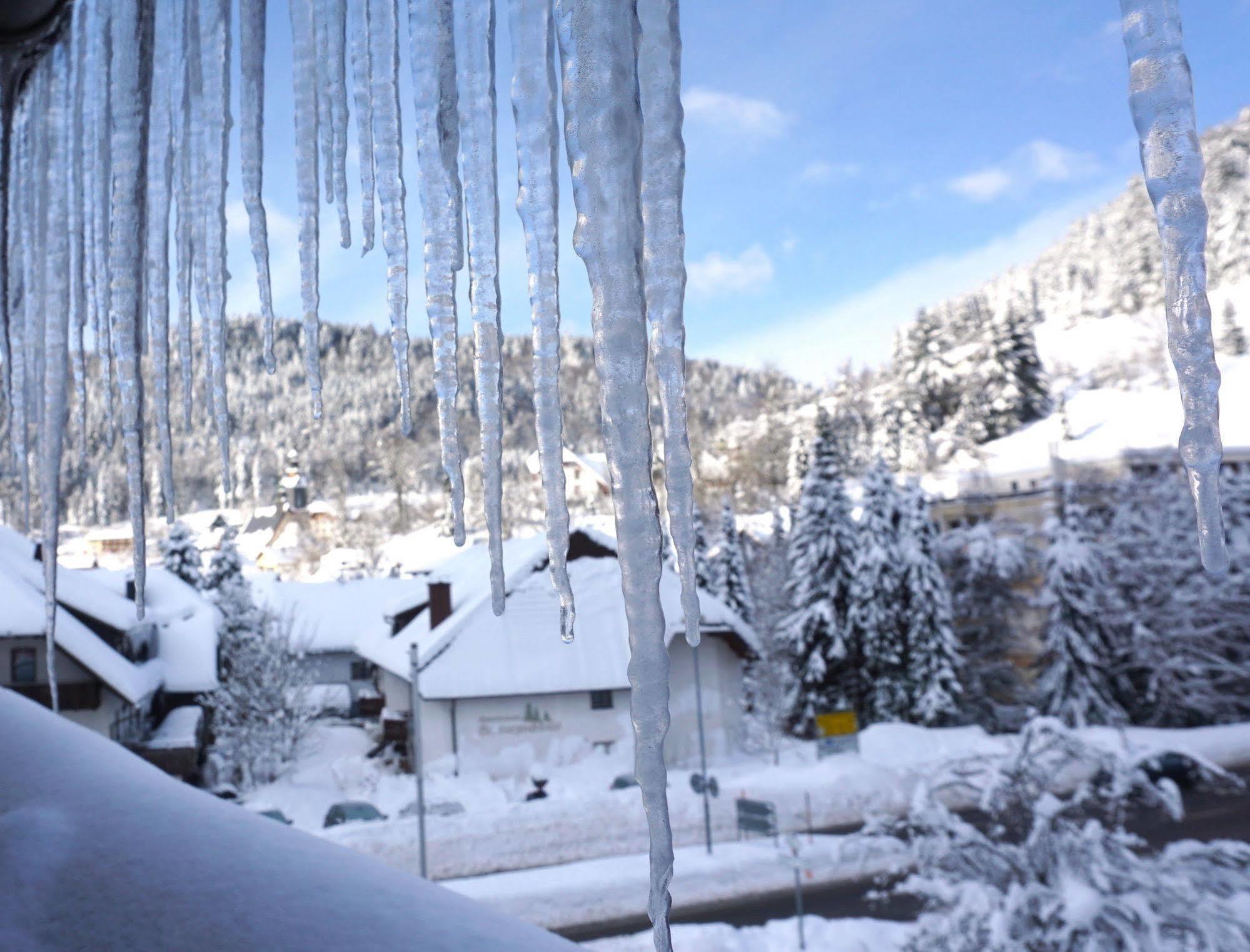 Chalet Moos Todtmoos Exterior foto