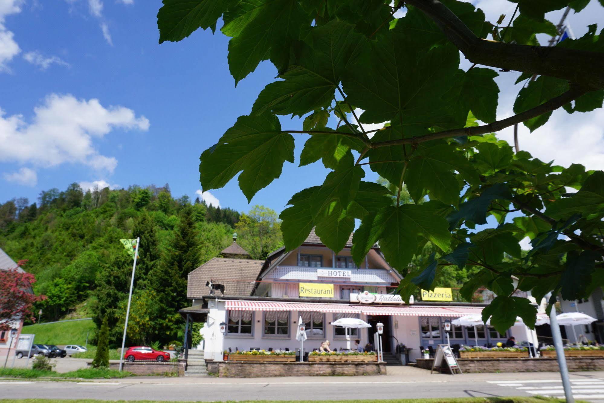 Chalet Moos Todtmoos Exterior foto