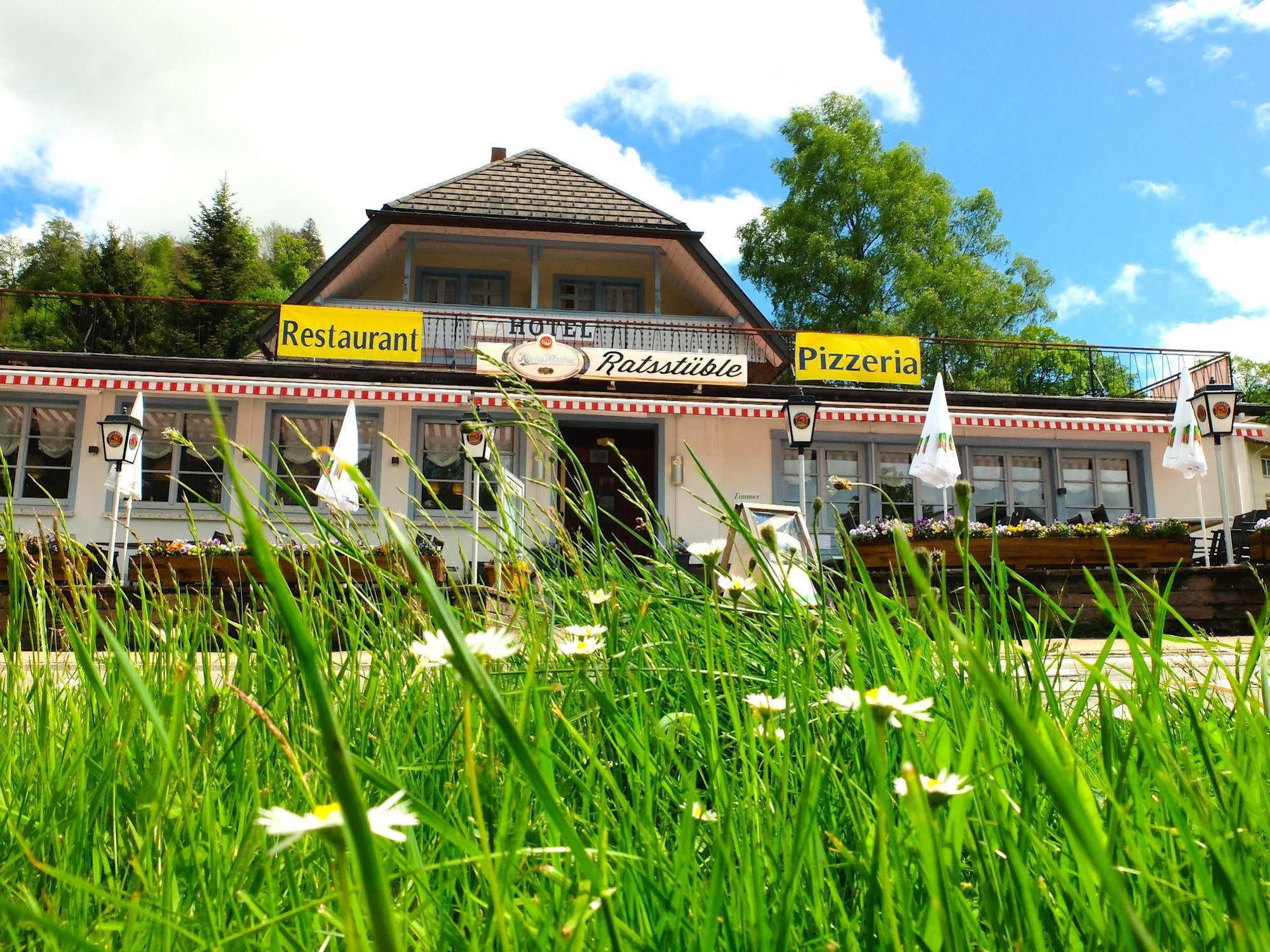 Chalet Moos Todtmoos Exterior foto